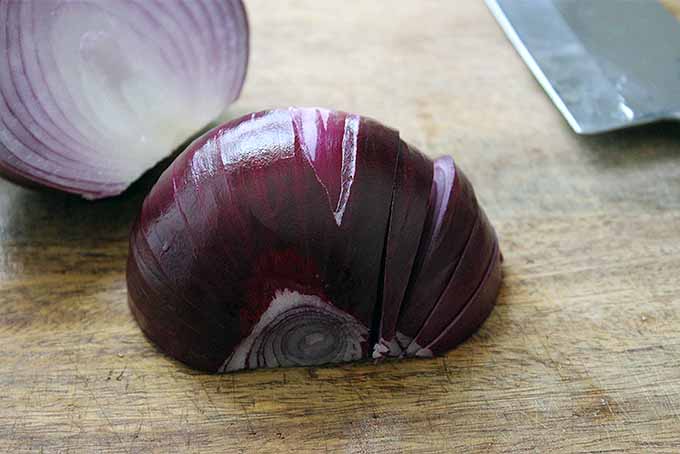 Slicing an onion with the "en pluma" method. Foodal.com
