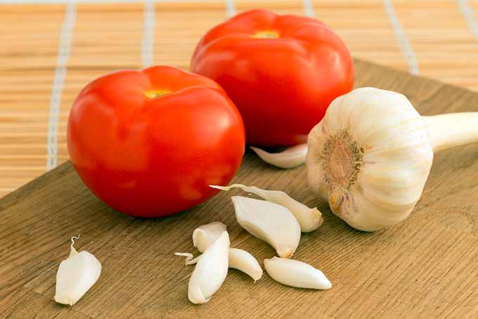 Tomatoes and Garlic | Foodal.com