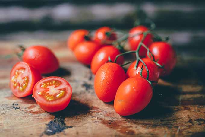 Fresh Tomatoes: Storage and Tips