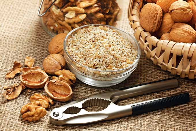 19 Add-Ins Walnuts and Nutcracker | Foodal.com