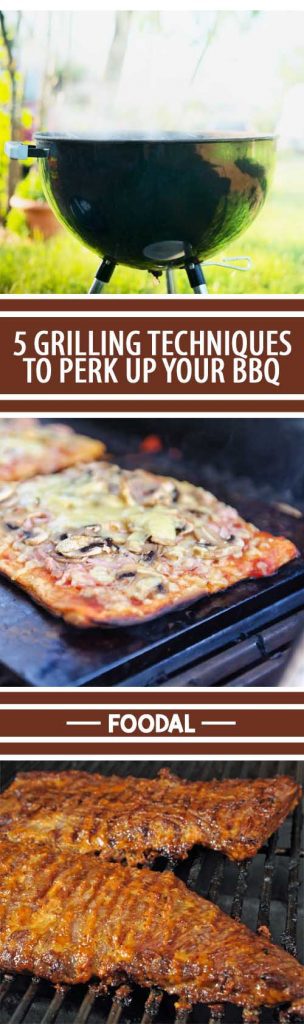 Want to learn a few basics to spruce up your barbecuing endeavors? Learn the basics of smoking, planking, marinating, and pizza on the grill. Check out these great ideas and get grilling now. https://foodal.com/kitchen/outdoor-appliances/barbeque-grills/4-techniques