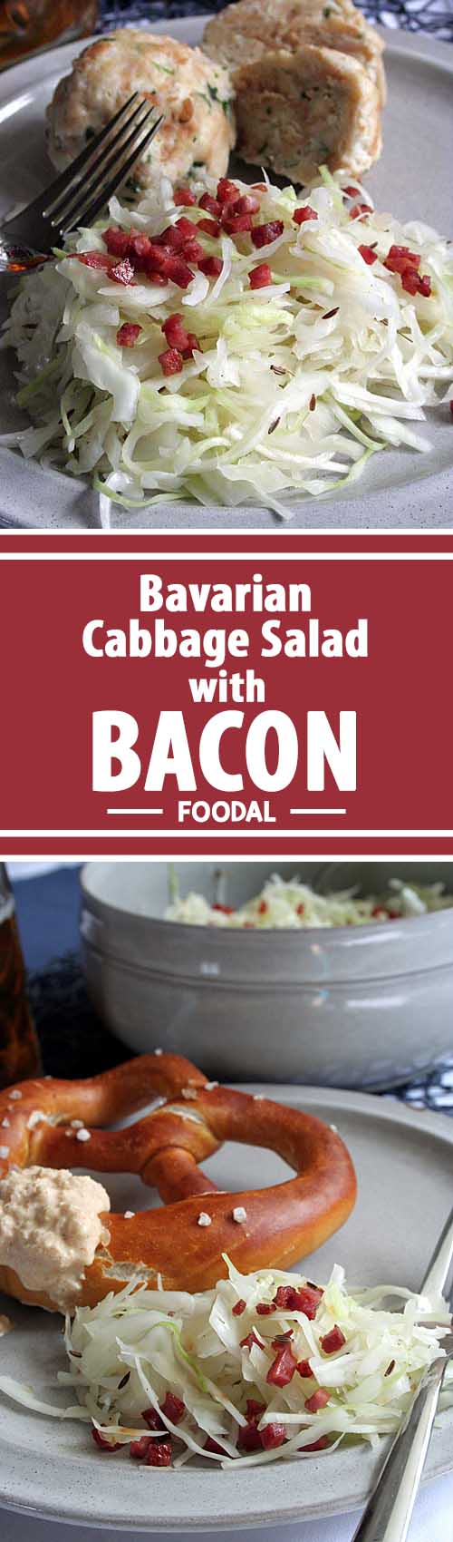 Try this delicious German version of coleslaw with a vinegar dressing. Topped with crispy bacon, it will soon become one of your favorites! Serve it for Oktoberfest or have it any time that you are hankering for a true Bavarian taste. https://foodal.com/recipes/german-recipes/cabbage-salad-bacon/