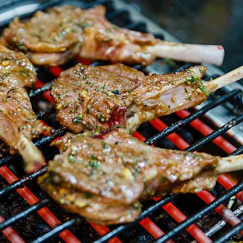 Electric Grill Reviews | Foodal.com