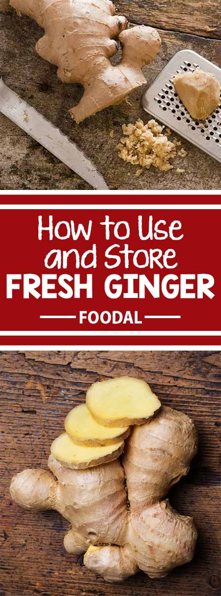 Looking for the best methods to shop, prep, and store fresh ginger? Read now on Foodal to learn how to handle these zesty hands! After reading our article, you will understand how to pick the best ginger at the store, as well as learn our favorite techniques for prepping and storing. Continue reading now on Foodal! https://foodal.com/knowledge/how-to/store-fresh-ginger/