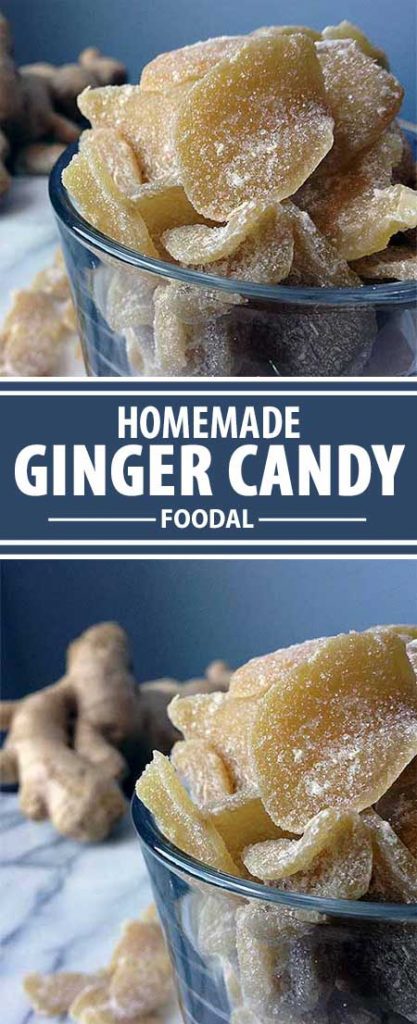 Are you curious about how to make your own natural, crystalized ginger? Sweet, spicy, chewy, crunchy – Foodal has the perfect recipe for you, and you only need two ingredients! Whether you want a quick tummy tamer or an exciting new garnish for your next dessert, these candies have exactly what you’re looking for. Keep reading now on Foodal!