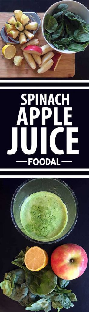 Looking for a simple way to break into the green juice craze? You'll love this mild-flavored and nutrient-packed option, made with fresh leafy greens, apples, and citrus. Read more now, learn about the nutritional impact you're in for, and get the recipe on Foodal! https://foodal.com/drinks-2/juice/spinach-apple-juice/
