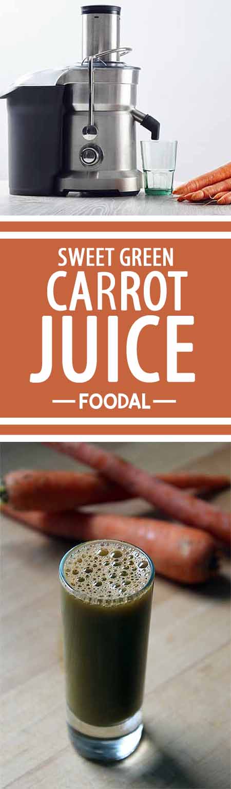 For those who are new to making their own fresh green juices at home, the flavor of all of those vegetables can be a turnoff. Try this mild option until you're ready to take off those training wheels. We share the recipe for a healthy juice that's a bit sweeter on Foodal. Read more now. https://foodal.com/drinks-2/juice/sweet-green-carrot-juice/