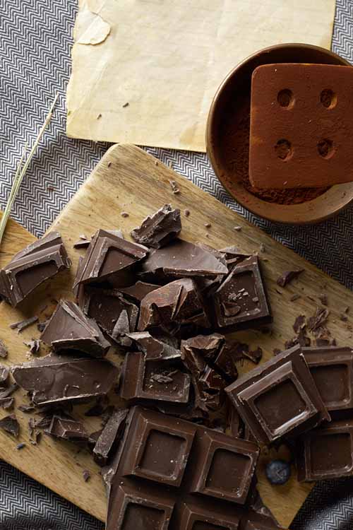 Lumps, bumps, and grains in your chocolate can happen, even if its the smooth stuff that you want! Learn how to avoid the worst with these easy fixes: https://foodal.com/knowledge/how-to/save-that-seized-chocolate/