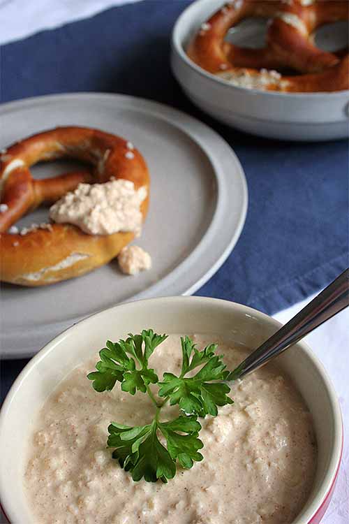 Looking for a tasty dip to serve on game day, or to round out your Oktoberfest celebration? Try our recipe for Obatzda, a Bavarian-style cheese dip: https://foodal.com/holidays/oktoberfest/obatzda/