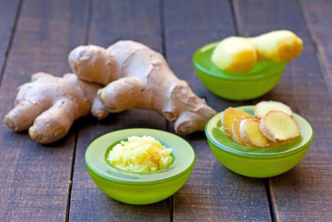 How to Store Fresh Ginger | Foodal.com