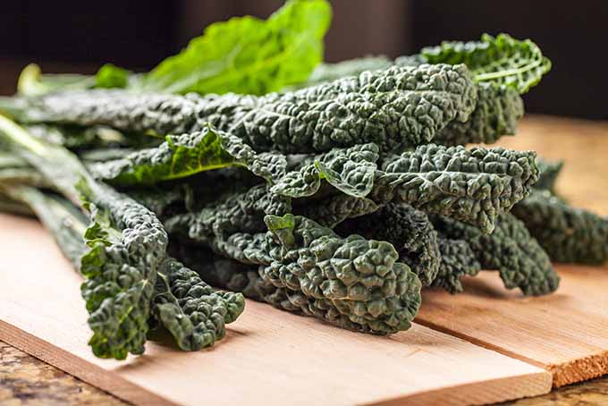 Lacinato Kale on Board | Foodal.com