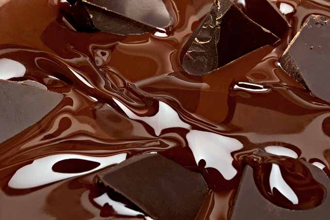Large Chocolate Chunks Melting | Foodal.com