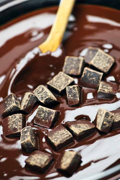 When melted chocolate starts to seize up with lumps, bumps, or grains...don't panic! Restore it to its proper glory with these easy fixes: https://foodal.com/knowledge/how-to/save-that-seized-chocolate/
