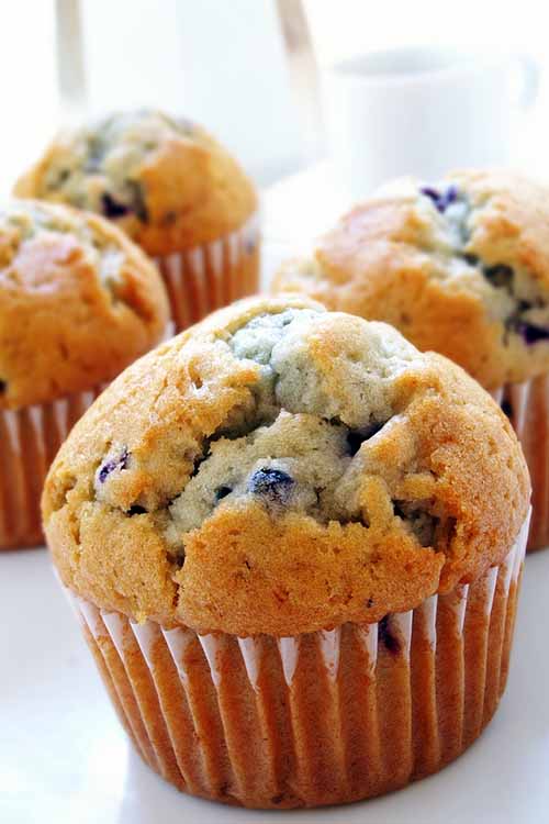 Good news, bakers! You don't have to toss out your muffin bottoms just because they turn out soft, undercooked, or soggy. We’ve got all the best fixes right here at Foodal: https://foodal.com/knowledge/how-to/fix-soggy-muffin-bottoms/