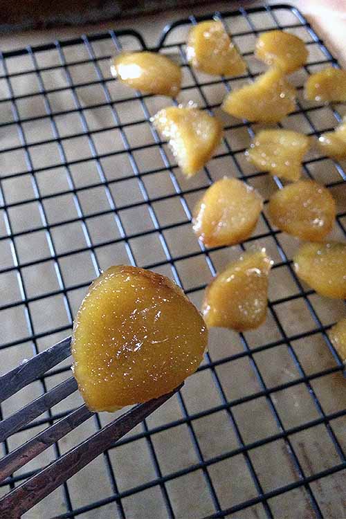 Preserving fresh ginger in sugar at home saves money, and it's simple to do. Learn how: https://foodal.com/recipes/canning/crystallized-ginger-candy/ ‎