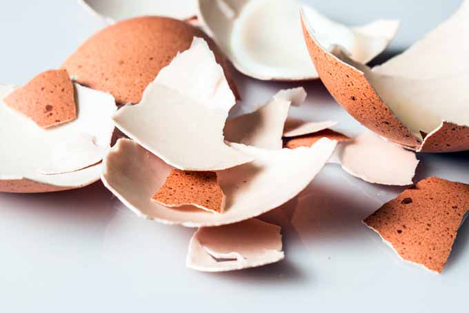 Reusing Egg Shells | Foodal.com