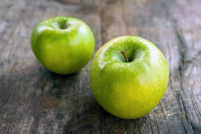 Granny Smith Apples | Foodal.com
