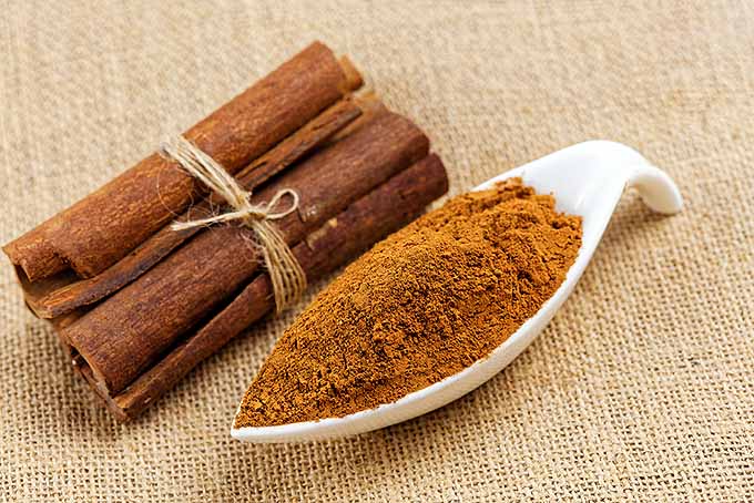Ground Cinnamon and Sticks | Foodal.com