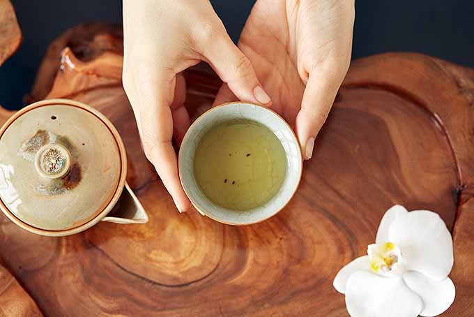 Holding Cup of White Tea | Foodal.com