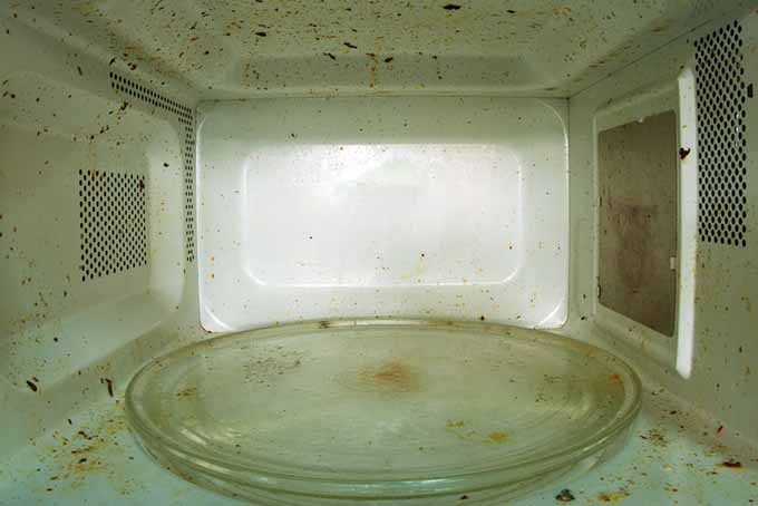 Inside Dirty Microwave | Foodal.com