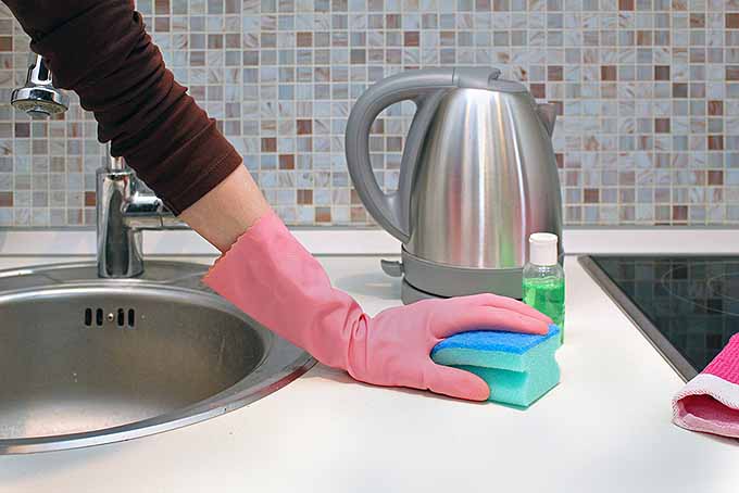 Cleaning a Laminate Kitchen Counter | Foodal.com