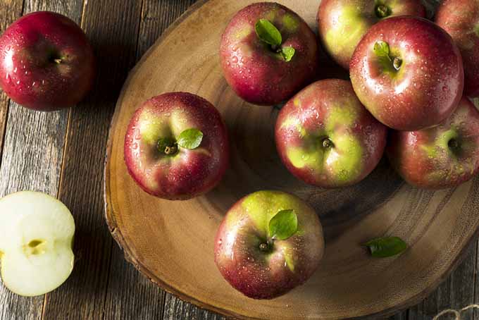 McIntosh Apples | Foodal.com