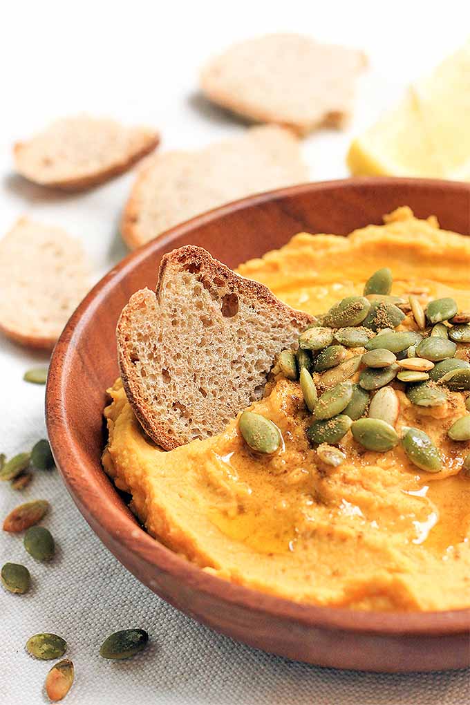 Super savory with the flavors of garlic, tahini, cumin, and roasted pumpkin, you'll love this special homemade hummus recipe. It's perfect for fall! Here's the link: https://foodal.com/holidays/fall/pumpkin-hummus/