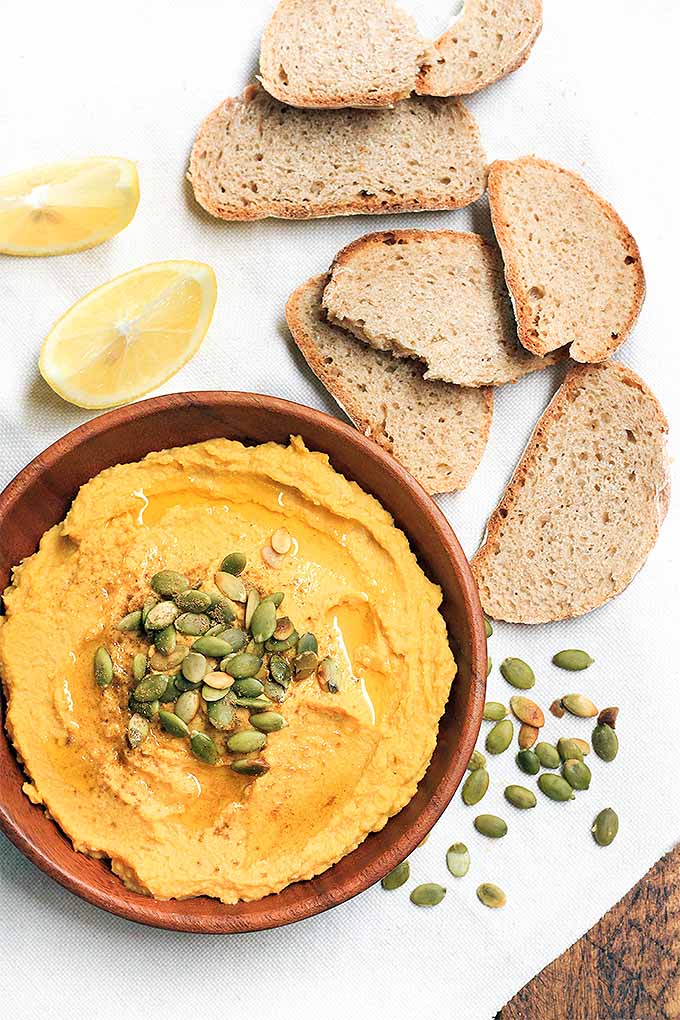 Our pumpkin hummus recipe combines the sweet earthiness of winter squash with the savory flavor of chickpeas, tahini, and cumin for a protein and fiber-packed healthy snack. We share the recipe: https://foodal.com/holidays/fall/pumpkin-hummus/