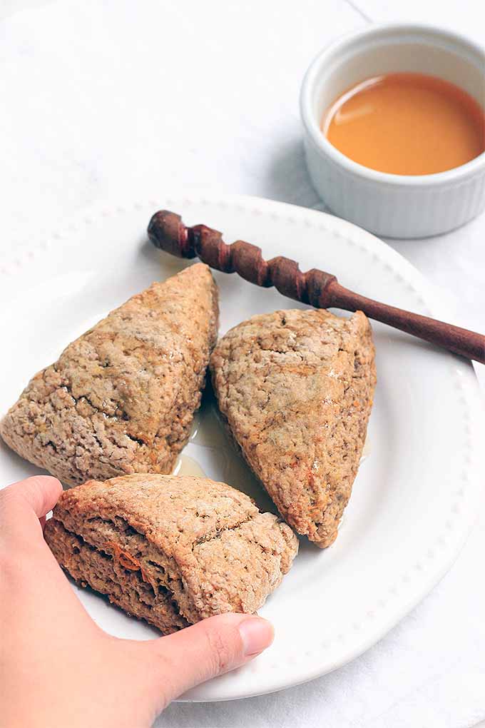 If you're a pumpkin spice lover, these scones are for you! Made with real pumpkin, sweet honey, and warming spices, these make the perfect pairing with a hot latte or tea. Get the recipe: https://foodal.com/recipes/breakfast/pumpkin-spice-scones/