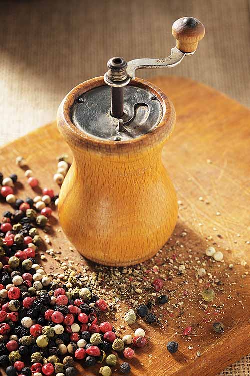 Feeling chilly? Learn all about warming spices here! These herbs and seasonings can literally warm you up, whether you use them in your food or in a comforting cup of tea. Find out here at Foodal: https://foodal.com/knowledge/herbs-spices/wonderful-warming-spices/