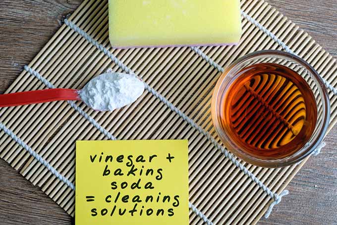 Vinegar and Baking Soda | Foodal.com