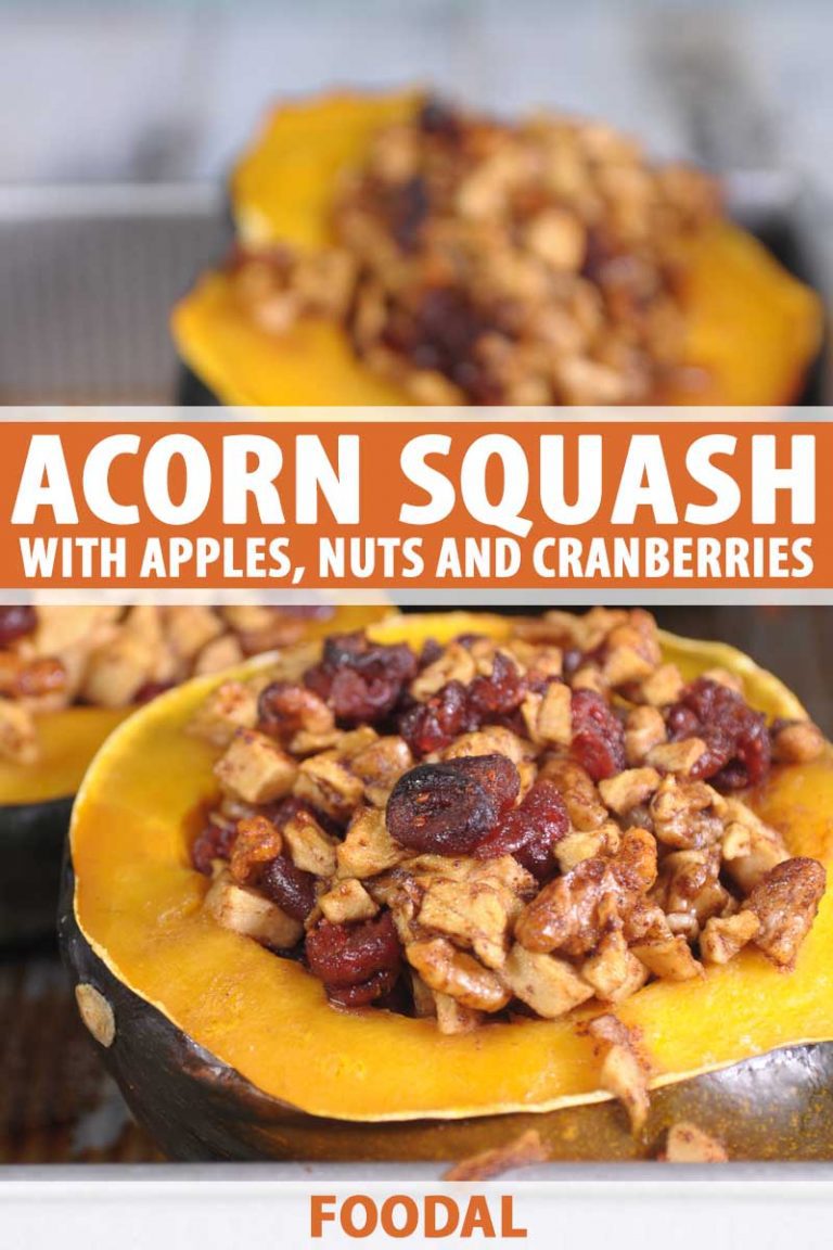 Stuffed Acorn Squash With Apples, Nuts and Cranberries | Foodal