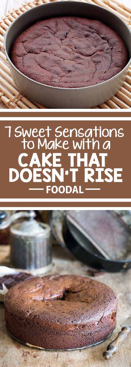 Have you baked a cake that didn’t rise and now you’re wondering what to do with it? Turn an imperfect cake into a delicious dessert with seven creative ideas from the experts at Foodal. With a little pudding, some chocolate, and maybe a shot or two, you’ll have dessert back on track in no time.
