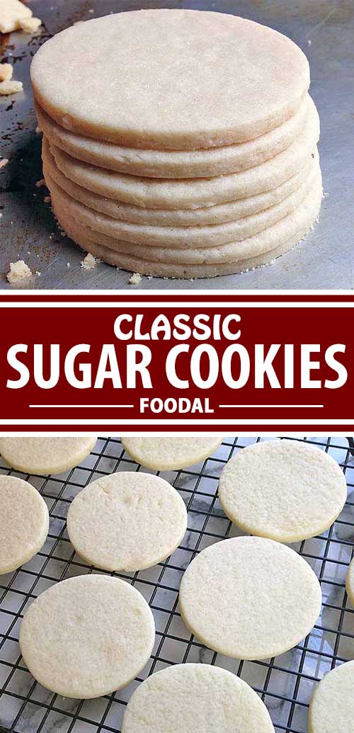 A collage full of different views of a classic sugar cookies.