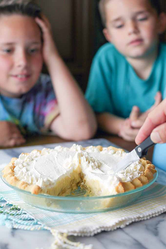 Figuring out the holiday menu can be tough... with so many pies to choose from! Our advice? Don't stop at just one, and check out our top favorites now: https://foodal.com/recipes/desserts/holiday-pies-roundup/