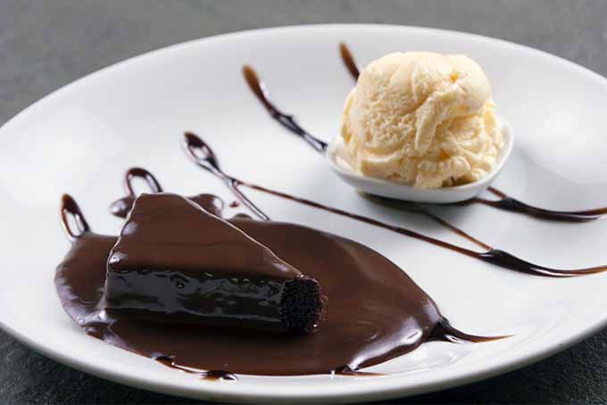 Warm Cake with Chocolate and Ice Cream | Foodal.com
