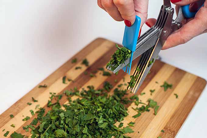 Careful Kitchen Cutting and Other Kitchen Safety Tips | Foodal.com