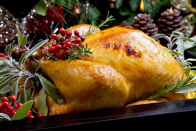 Christmas Turkey | Foodal.com