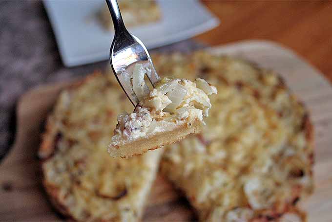 The Best Savory German Onion Tart | Foodal.com