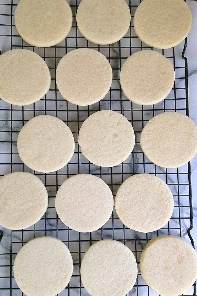 Learn how to make the best sugar cookies for the holidays, with our recipe: https://foodal.com/recipes/desserts/classic-sugar-cookie-cutouts/
