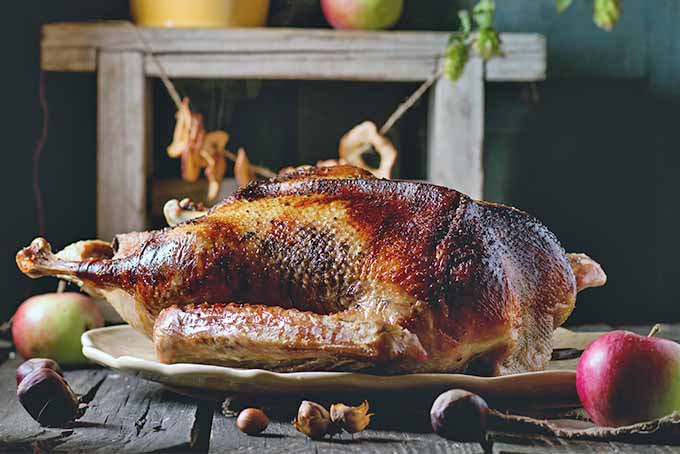 Thanksgiving Goose | Foodal.com