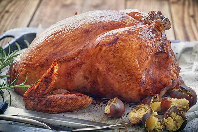 Turkey with Chestnuts for Thanksgiving | Foodal.com