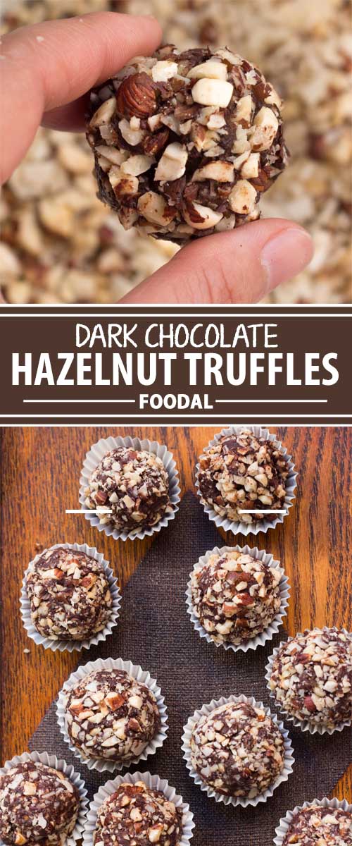 The Best Dark Chocolate Hazelnut Truffle Recipe | Foodal