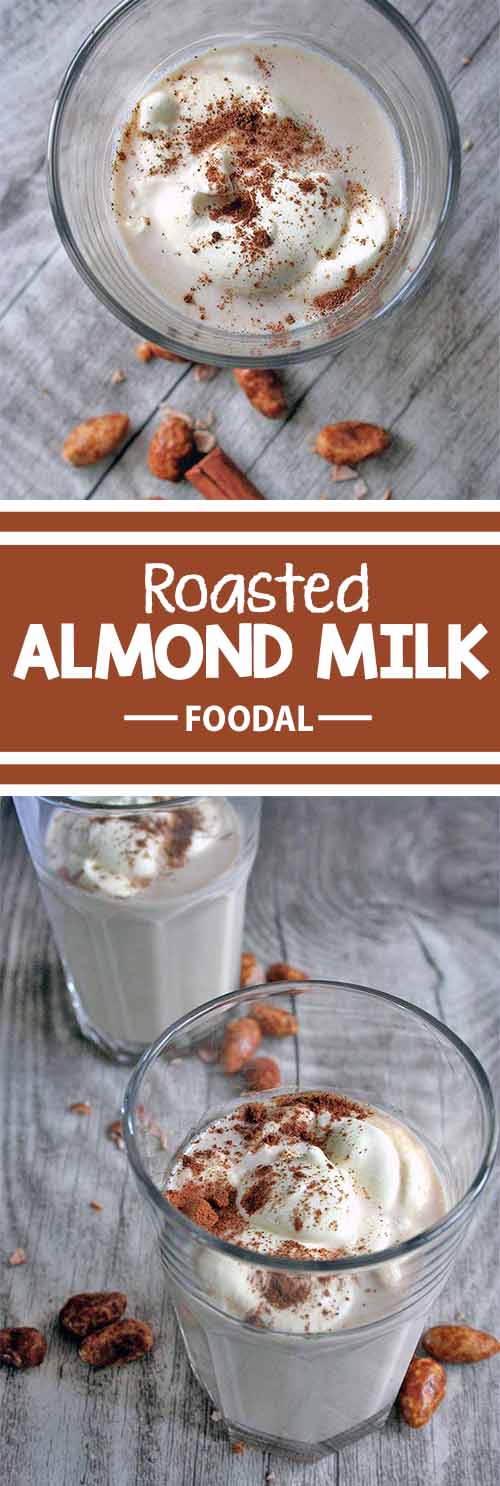 Roasted almonds are a beloved wintertime treat. With their crunchy and sugary skin they make a yummy snack. Did you know that you can turn them into a delicious drink, too? Try this easy recipe for festive flavor in a mug. Read more now on Foodal.
