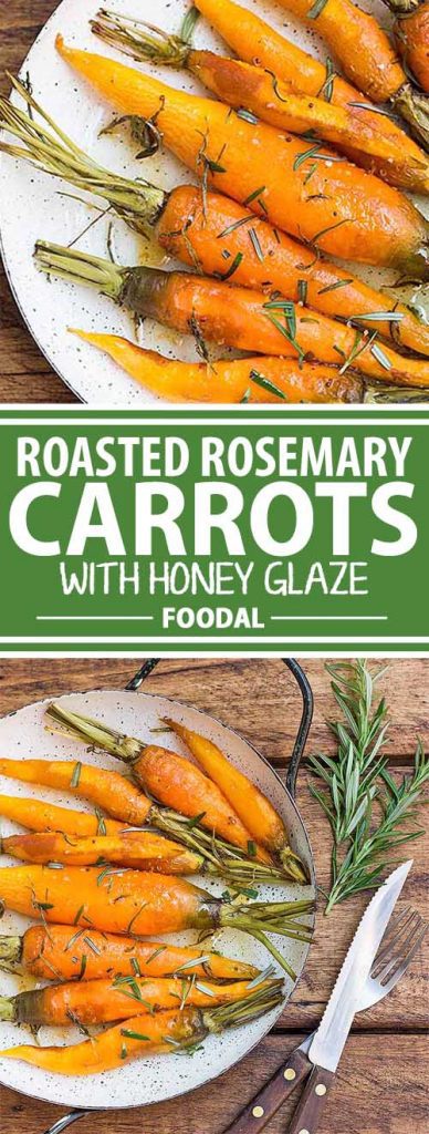 When guests are coming over for dinner, it’s always good to have a simple but impressive side dish recipe on hand. These roasted rosemary carrots with honey glaze make the perfect side to your protein mains! Plus, they taste amazing but they’re ridiculously easy to make! Get the recipe now on Foodal.