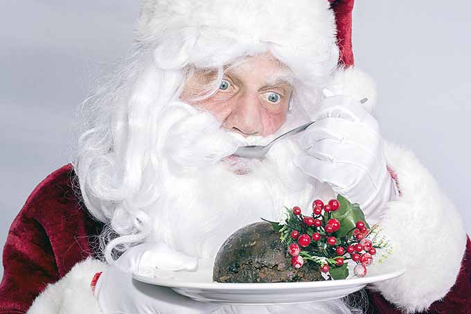 Figgy Pudding and its Christmas Origins | Foodal.com