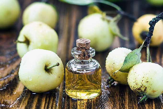 Health Benefits of Apple Cider Vinegar | Foodal.com