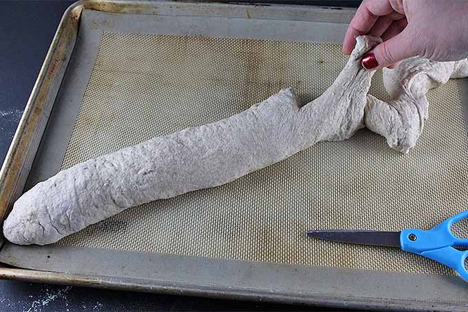 Learn How to Make Baguettes at Home | Foodal.com