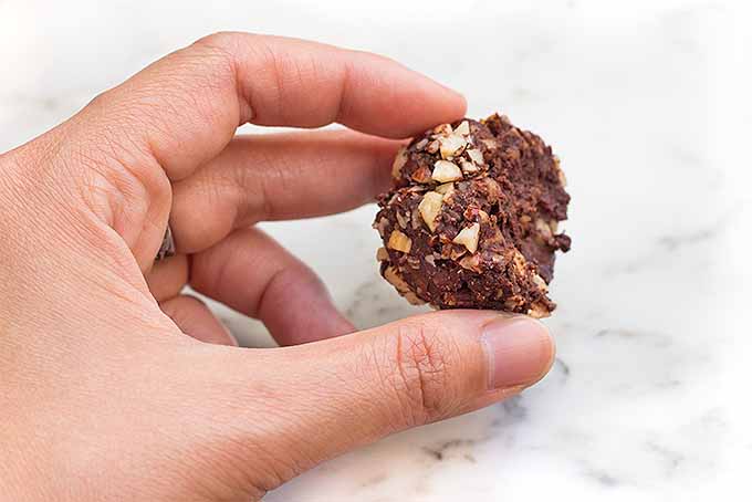 Make These Dark Chocolate Hazelnut Truffles | Foodal.com