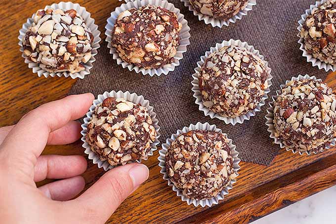 Make Dark Chocolate Truffles with Hazelnuts | Foodal.com